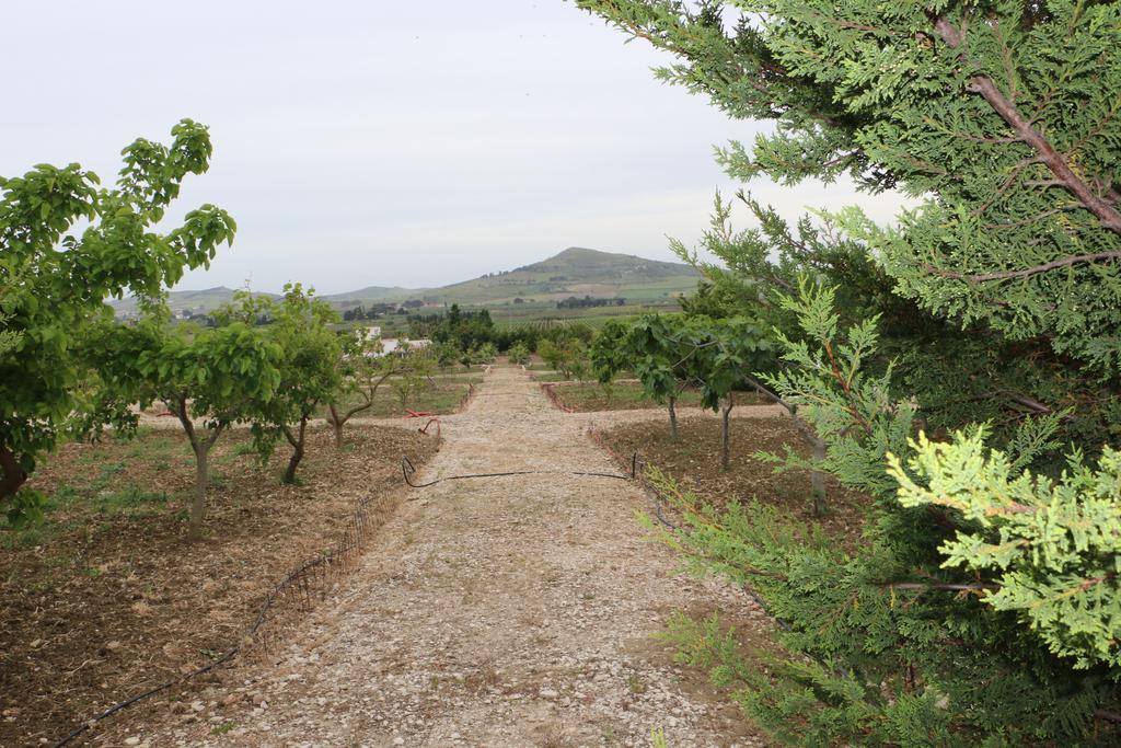 Villa Delle Palme Delfina Trapani Exterior foto