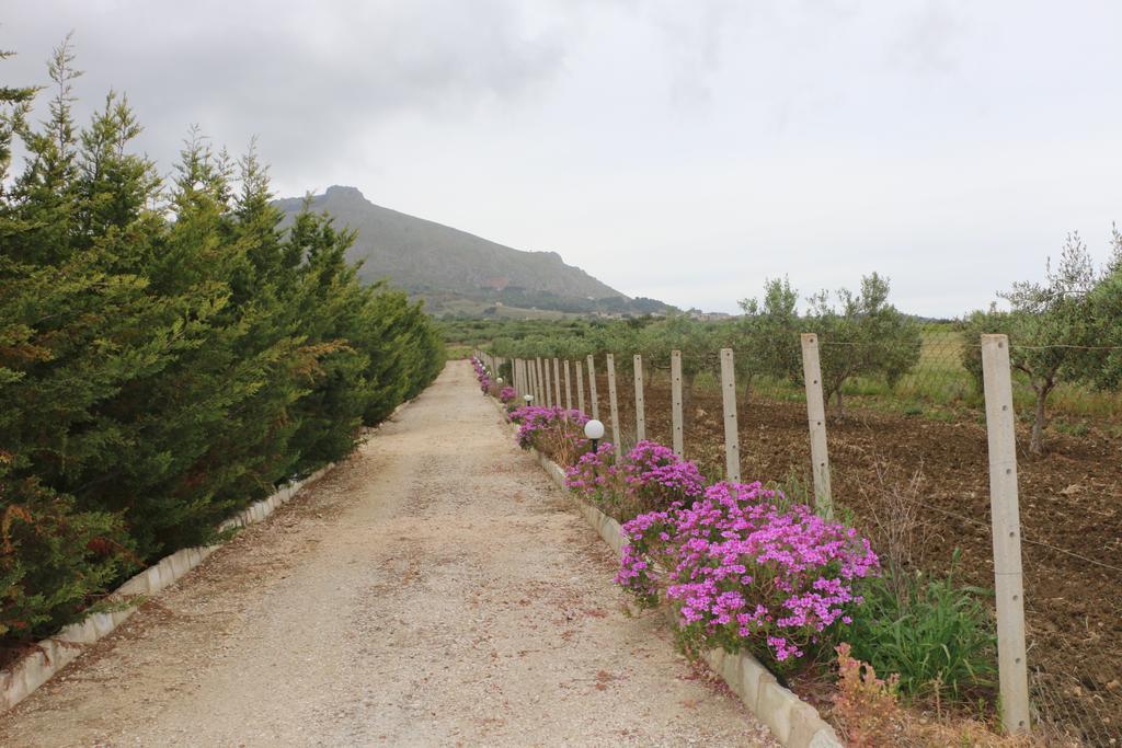 Villa Delle Palme Delfina Trapani Exterior foto